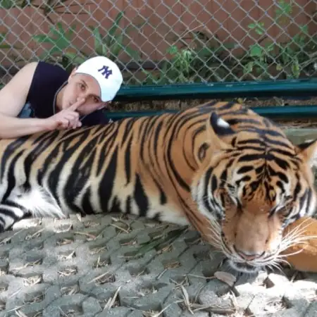 Timur, 39Ресей