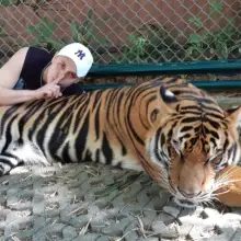 Фото Timur 1 
