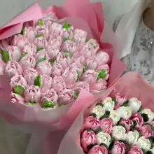 Фото Elya 1 