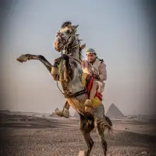 Фото Mahmoud 2 