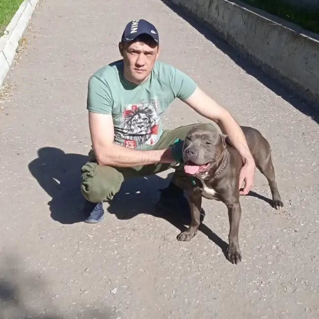 Eldar, 37, Ресей - Russian Nikah