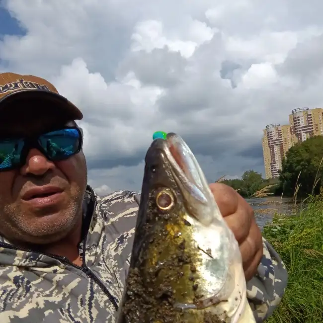 Shuhratbek, 50, Ресей